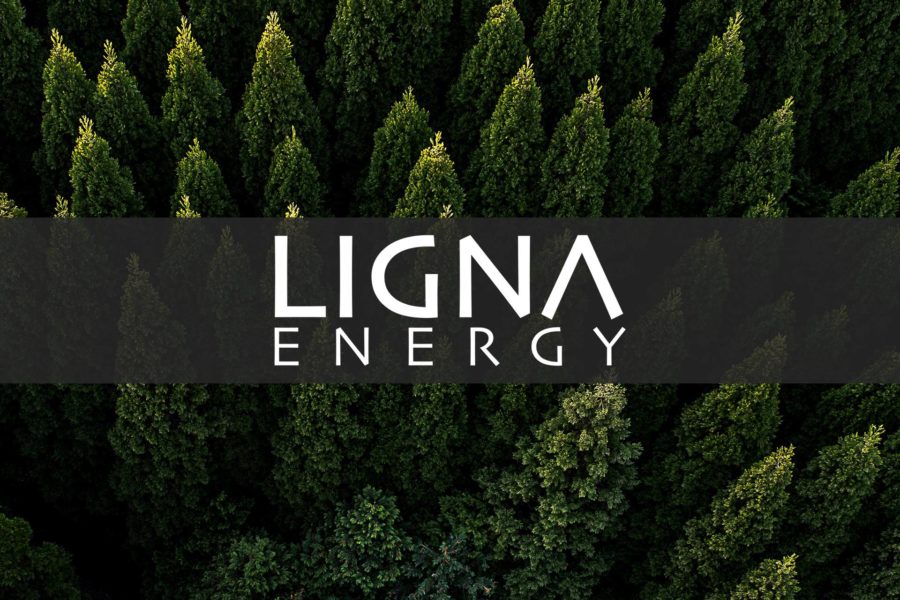 Ligna Energy